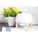 PENSONIC MOSQUITO TRAP UFO | PMK-3000